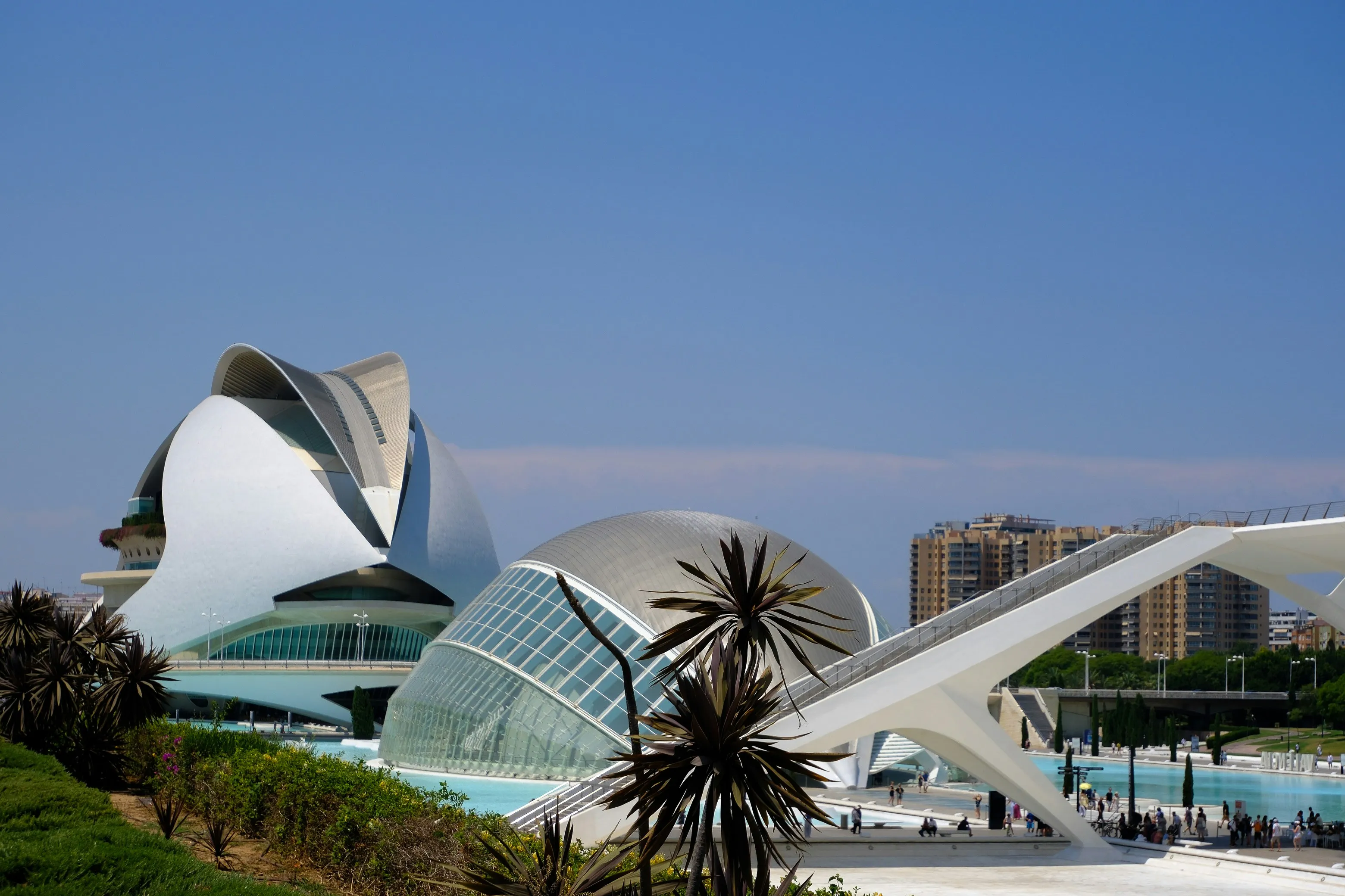 Por qué tu empresa en Valencia necesita una estrategia de IA ahora